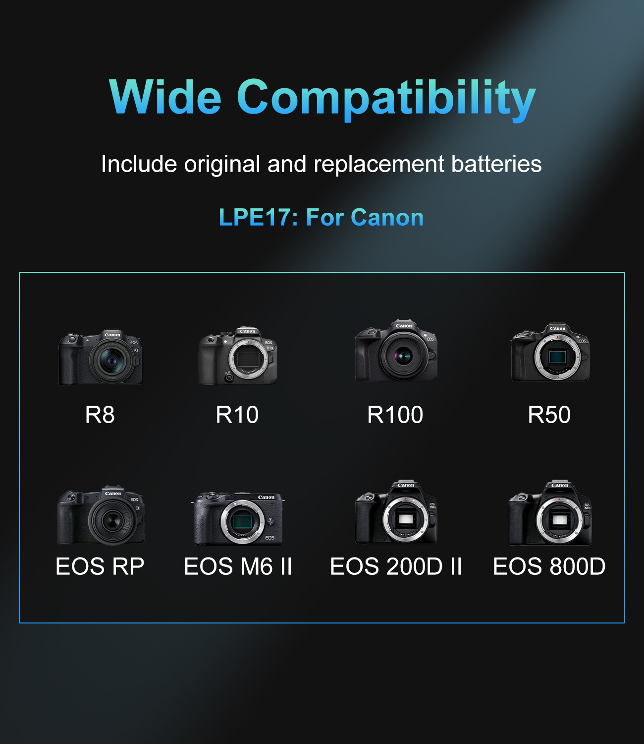 Pengisi Daya USB-C PD Dual Slo - Canon Camera Eos R8 ulasan dan harga